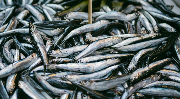 La collection d'objets anti-stress qui change tout