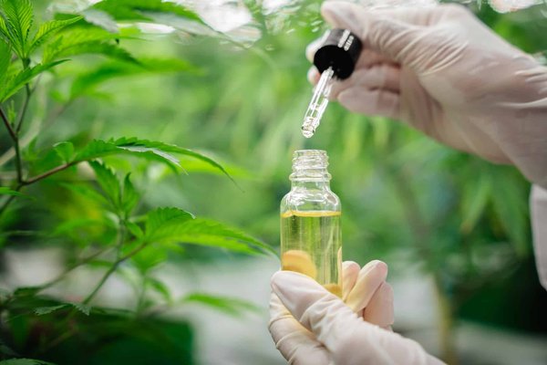 Huiles au cannabidiol : bienfaits, choix et utilisation